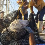 Pokémon, a 30 años del fenómeno que marcó a generaciones