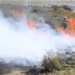 Poncho De Nigris solicita protección tras recibir amenazas