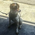 ¿Qué pasará con HBO Max? Paramount anuncia fusión de plataformas tras comprar Warner Bros