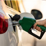 El Rebaño 'borra' a los Guerreros