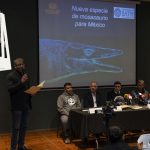 Álbum Panini del Mundial 2026: Cuándo sale a la venta, precio y todo lo que debes saber