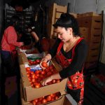 Herederos de Michael Jackson enfrentan una demanda por presunto abuso y manipulación