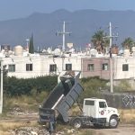 Gusano barrenador afecta a seis lomitos en Saltillo; uno requiere ayuda urgente – vanguardia.com.mx