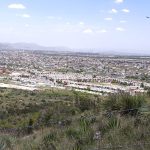 La tienda más cara y la más barata están en Saltillo – massinformacion.com.mx