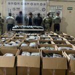 Registran Saltillo y Ramos Arizpe 12 casos de gusano barrenador en perros – vanguardia.com.mx