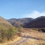Tec-NM Saltillo hará historia este 6 de noviembre – El Diario de Coahuila