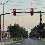 El problema no son los gatos – vanguardia.com.mx