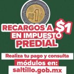 Hombre muere tras ser atacado con una navaja durante una pelea en el ejido Padre Santos, Saltillo – Telediario