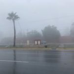 Consumo local, clave para la economía de Ramos: TG – El Heraldo de Saltillo