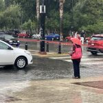 Comunidad veracruzana organiza ‘fandango’ en Saltillo; convocan a encuentro jarocho – Periódico Zócalo | Noticias de Saltillo, Torreón, Piedras Negras, Monclova, Acuña – Periódico Zócalo