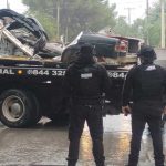 Visita Saltillo gaviota ‘Polar’; captan ejemplar de Sabine en la Ciudad Deportiva – Periódico Zócalo – zocalo.com.mx